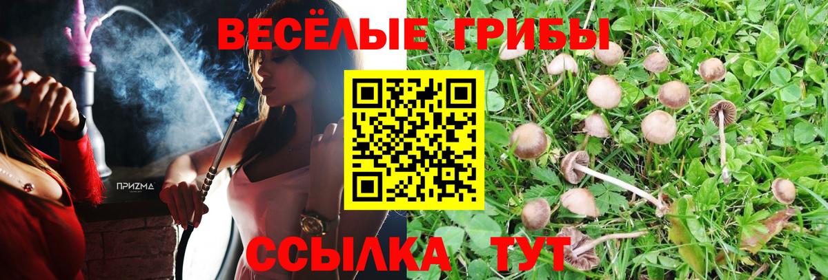 Аксай  Псилоцибиновые грибы Magic Shrooms  Галлюциногенные грибы GOLDEN TEACHER  Вход с VPN 